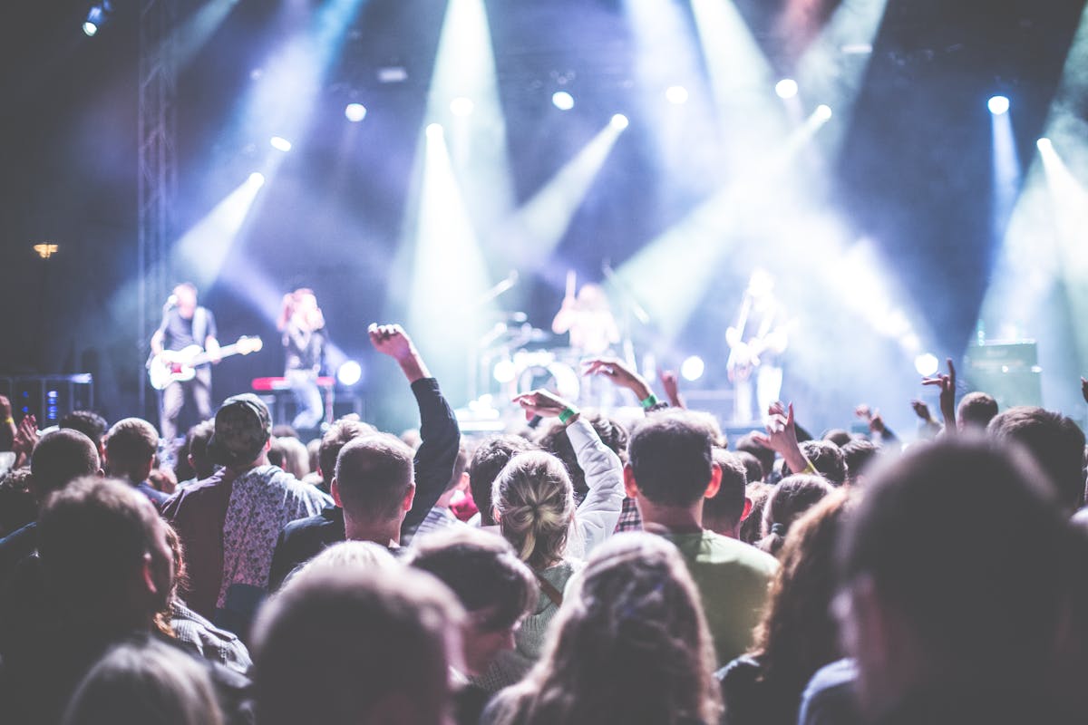Concert goers
